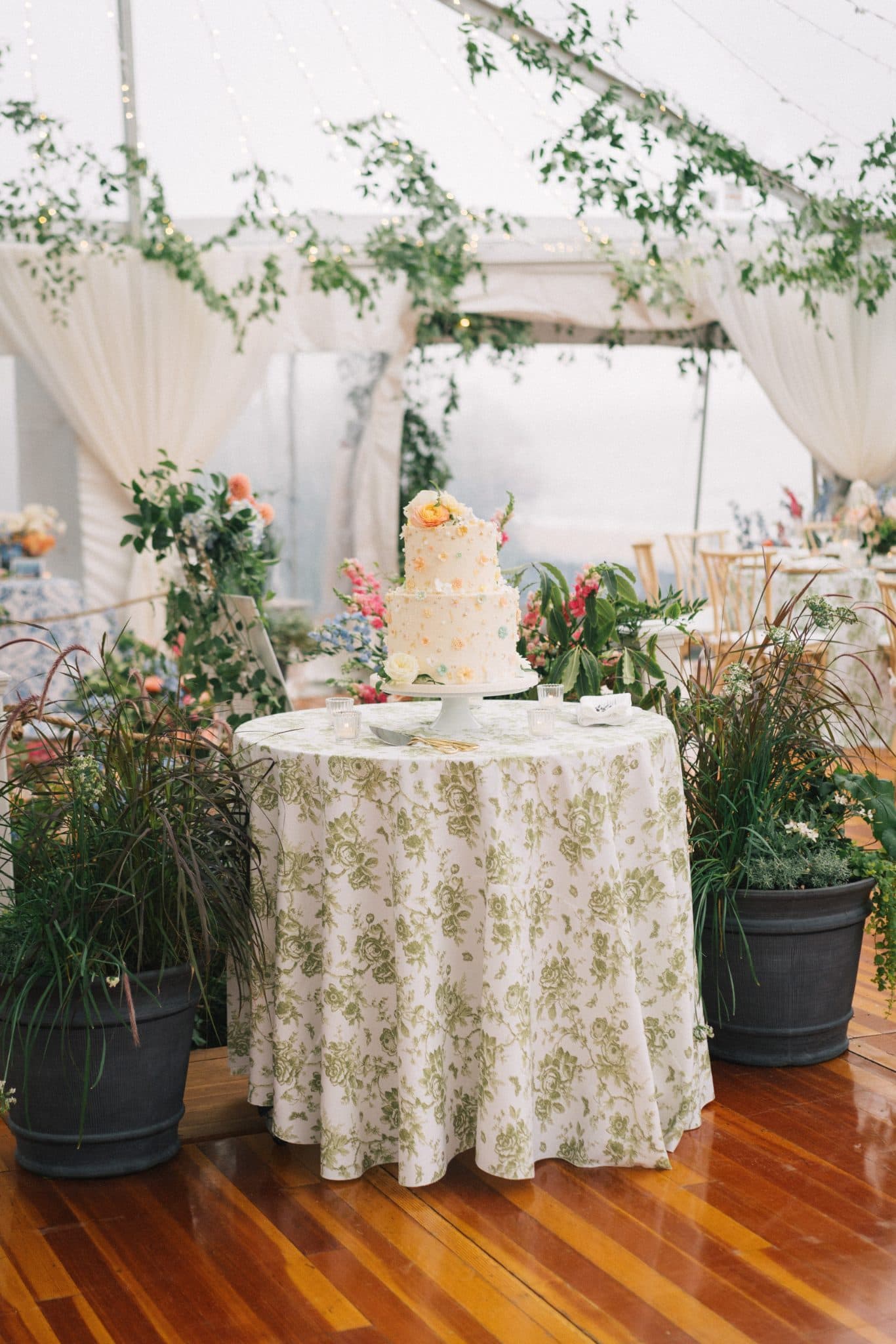 A wedding cake on a floral tablecloth under a tent with hanging greenery and potted plants.