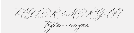 Rosa typeface specimen