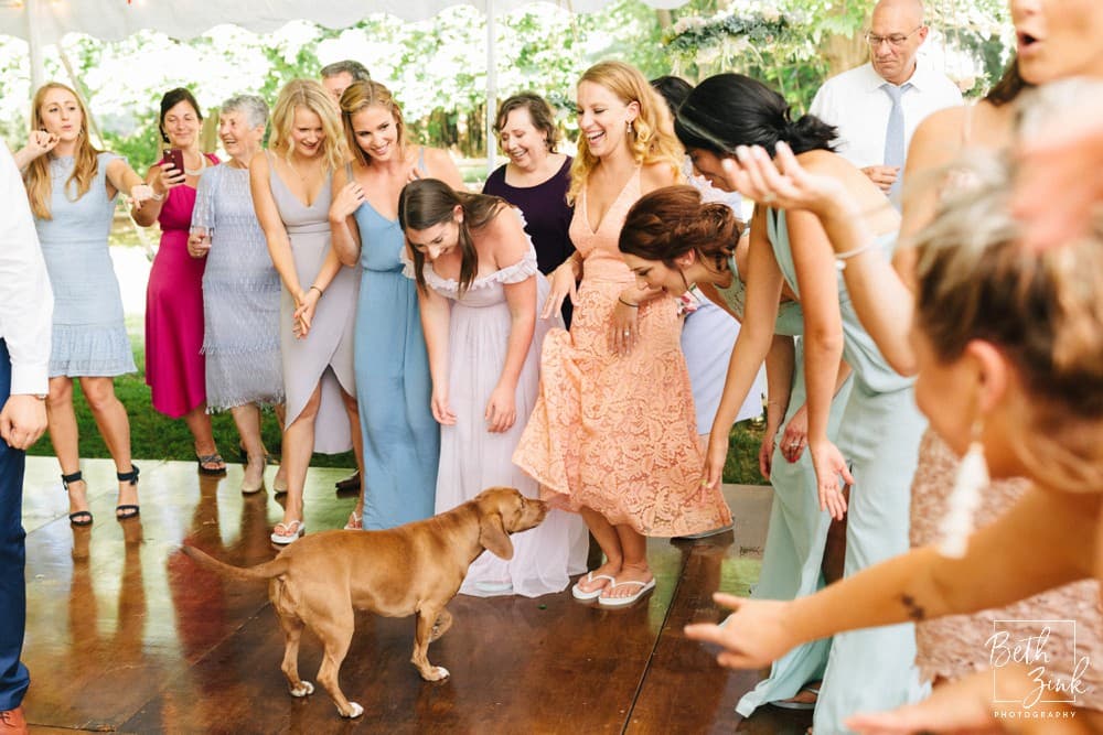 Marissa + Matt's Wedding at Planting Fields Arboretum — photograph 60 of 75