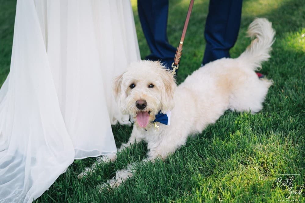 Chelsea + Chris' Wedding at Fairfield County Hunt Club — photograph 28 of 96